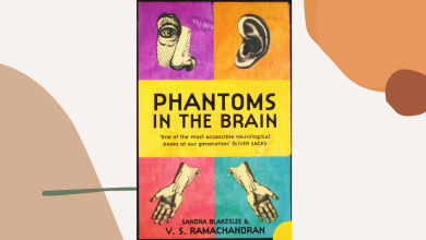 Phantoms in the Brain