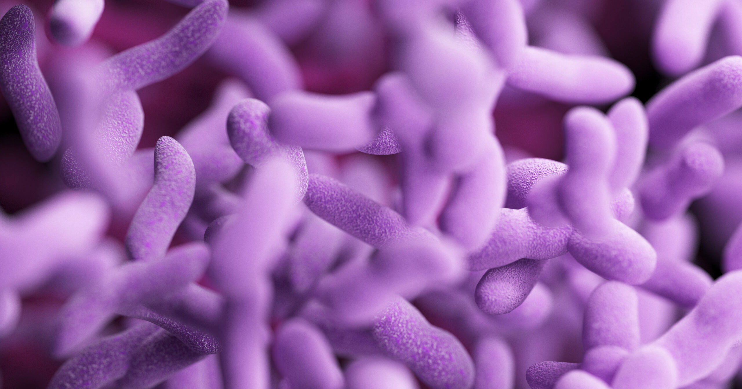 3d rendered illustration of bacteria