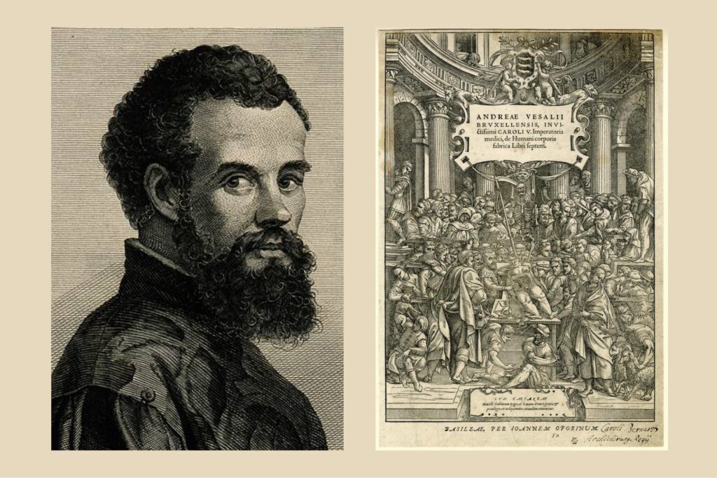 L to R: Andreas Vesalius; De Humani Corporis Fabrica Libri Septem